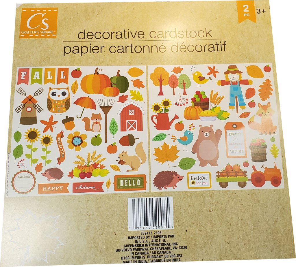Crafter's Square Decorative Cardstock from the Dollar Tree